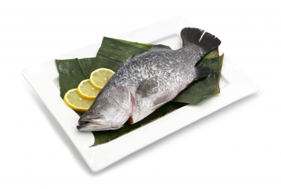 Baby Barramundi Whole 700g