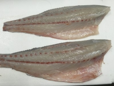 Mulloway Fillets 500g