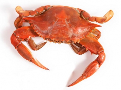 Cooked Crabs 500g