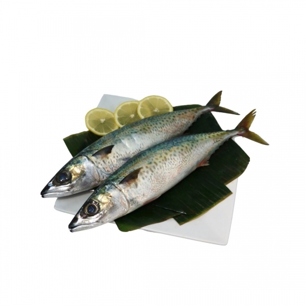 Mackeral Whole 1kg