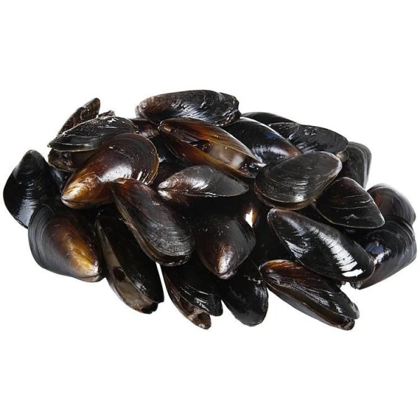 Mussels Black 1kg (Thawed)