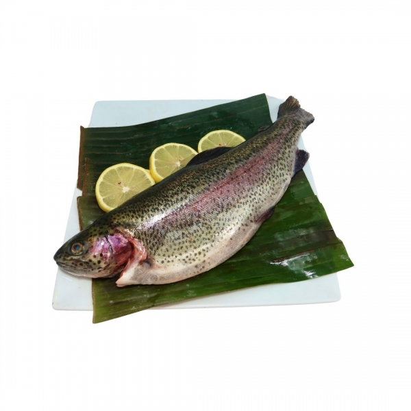 Rainbow Trout Whole 1kg