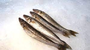 King George Whiting Whole 500g