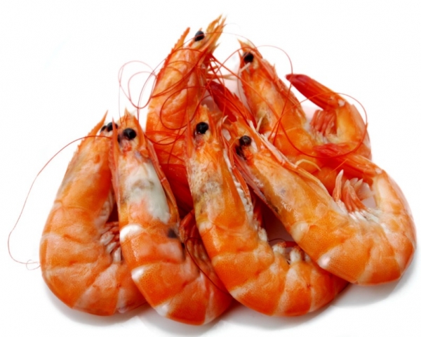 Cooked Large Tiger Prawns 16/20 1kg (Frozen)