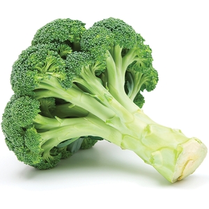 Organic Broccoli 500g