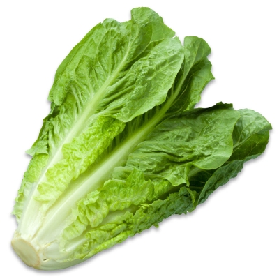 Organic Lettuce Cos Each