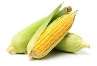 Organic Sweetcorn Each