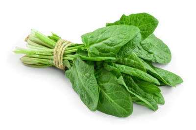 Organic Spinach Bunch