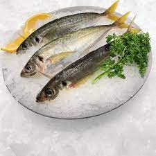 Mackerel Yellowtail Whole 1kg