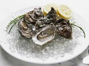 Sydney Rock Oysters 1/2 Dozen Closed