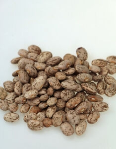 Bulk Foods Pinto Beans 200g