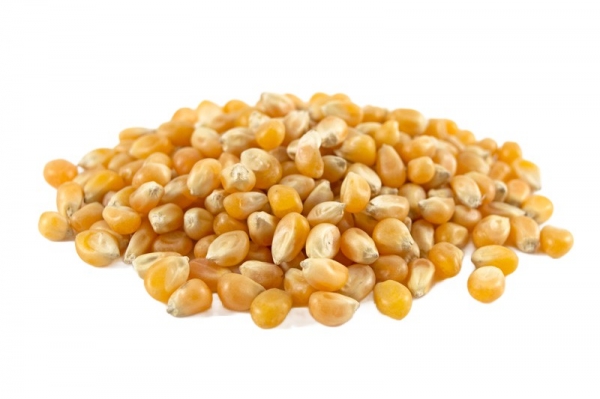 Bulk Foods Organic Popping Corn 200g