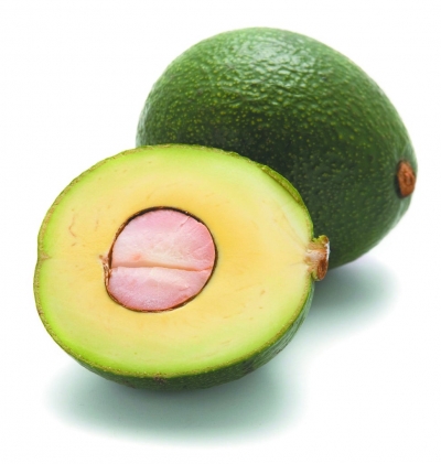 Organic Reed Avocado Each