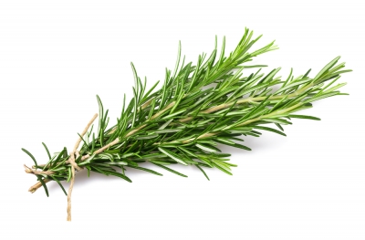 Organic Rosemary Bunch