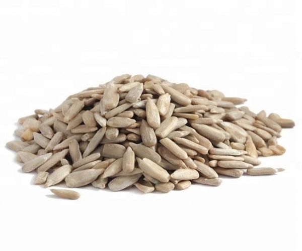 Striped Sunflower Jaguar XL 4337 | Bulgarian Nuts