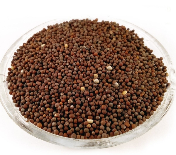 Bulk Foods Black Mustard Seeds 50g