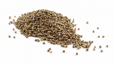 Bulk Foods Gourmet Organic Coriander Seeds 20g