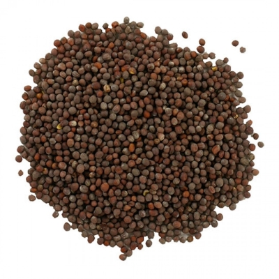 Bulk Foods Gourmet Organic Mustard Seed Brown 20g