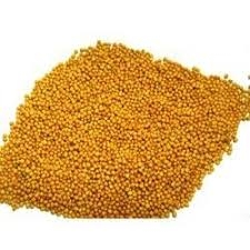 Bulk Foods Krio Mustard Seeds Yellow 20g