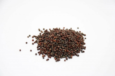 Bulk Foods Krio Mustard Seeds Black 20g