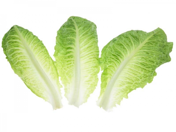 Lettuce Leaves Baby Cos Loose 150g