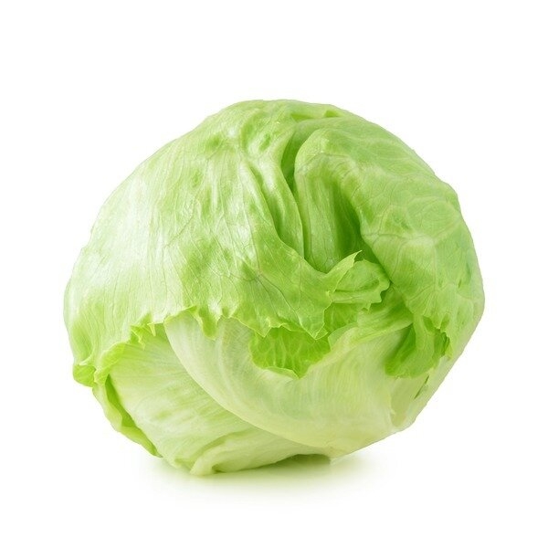 Lettuce Iceberg