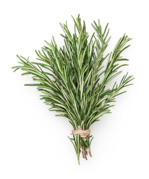 Rosemary Bunch Each
