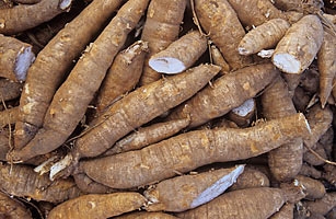Cassava 1kg