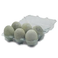 Duck Eggs Century 6 Pack