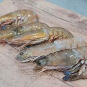 Spencer Gulf Raw Prawns U10s 500g