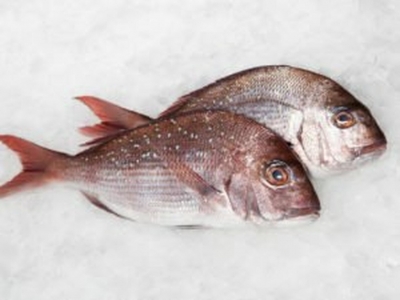 Snapper Whole (Approx 1.2kg)