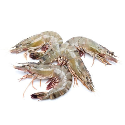 Black Tiger Prawns Whole Uncooked 500g