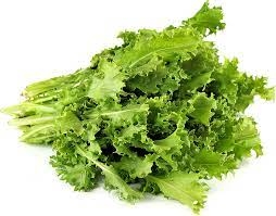 Endives Bunch