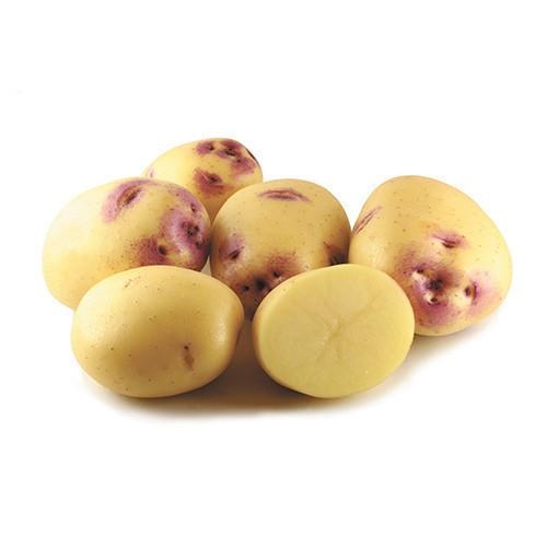 Kestral Washed Potatoes Each