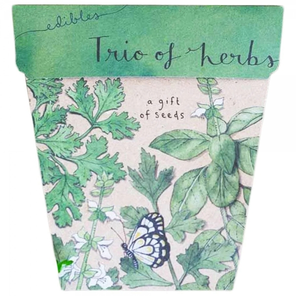 Sow n Sow Gift Of Seeds Trio of Herbs
