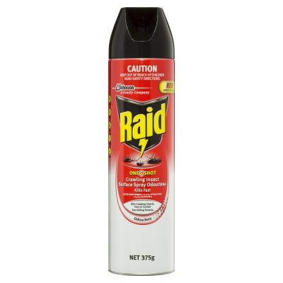 Raid One Shot Crawling Insect Surface Spray Odourless 375g