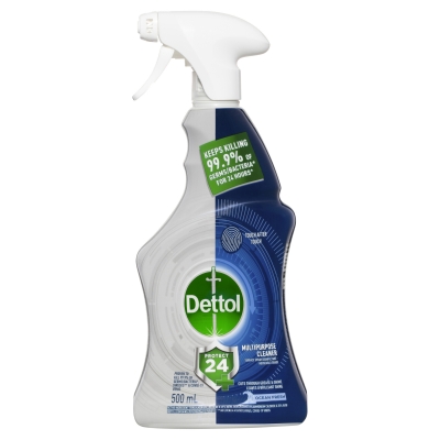 Dettol Protect 24+ Multipurpose Cleaner Ocean Fresh 500ml