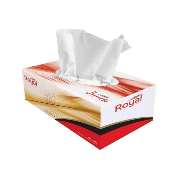 Royal Musk Facial Tissues 2 Ply 200 Pack