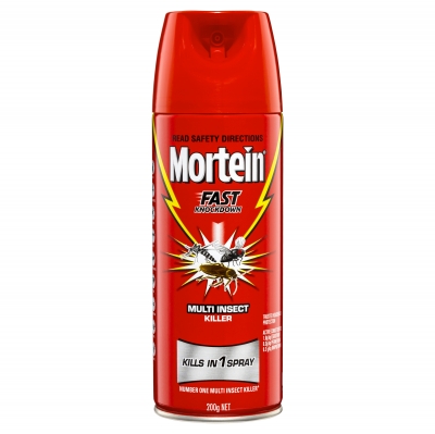 Mortein Fast Knockdown Multi Insect Killer 200g