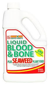 David Gray Liquid Blood n Bone and Seaweed 2lt