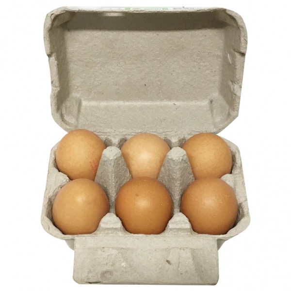 Foodland Free Range Eggs 300g