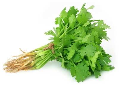 Coriander Punnet 30g