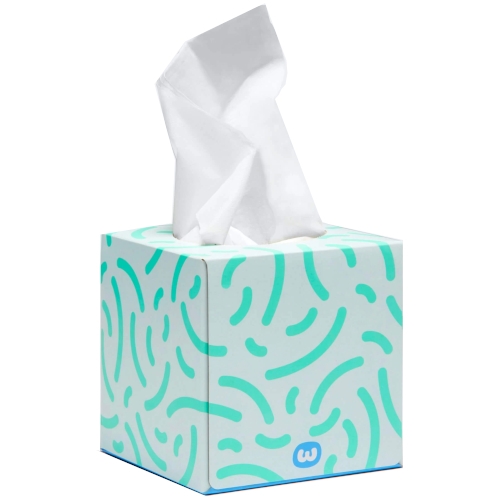 Who Gives a Crap Facial Tissues 2 Ply 60 Pack